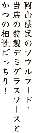 岡山県民のソウルフード！当店の特製デミグラスソースとかつの相性ばっちり！